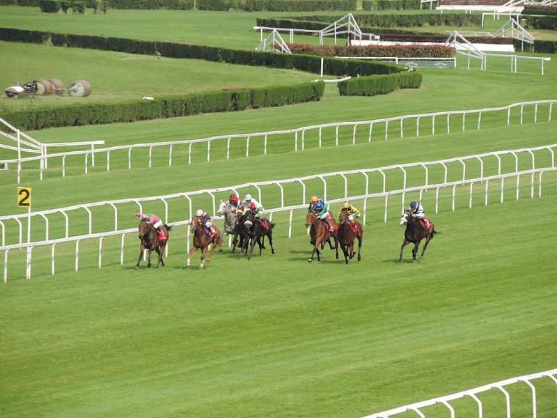 HIPPODROME OF SAN SIRO: TROFEO OAKS – GALLOPING RACE WORLDLINESS ELEGANCE AND… HISTORIC CARS
